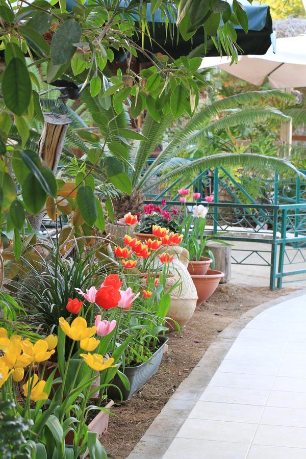 Idan Lodge In The Arava Paran Exterior photo